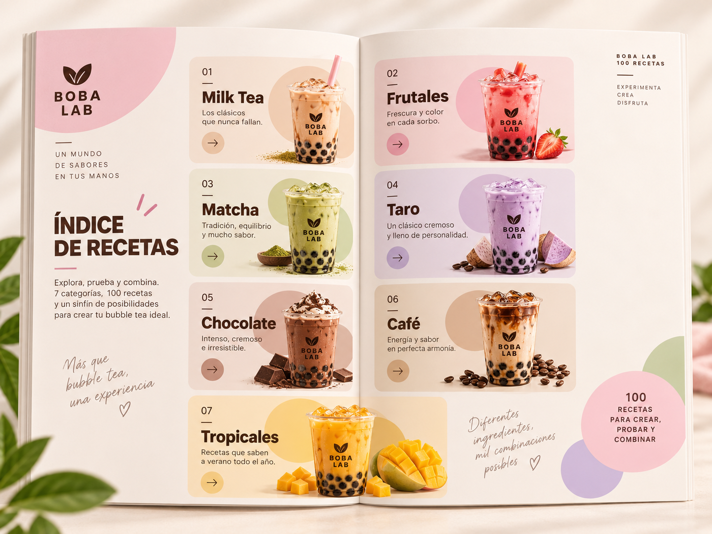 Categorías de recetas BOBA LAB